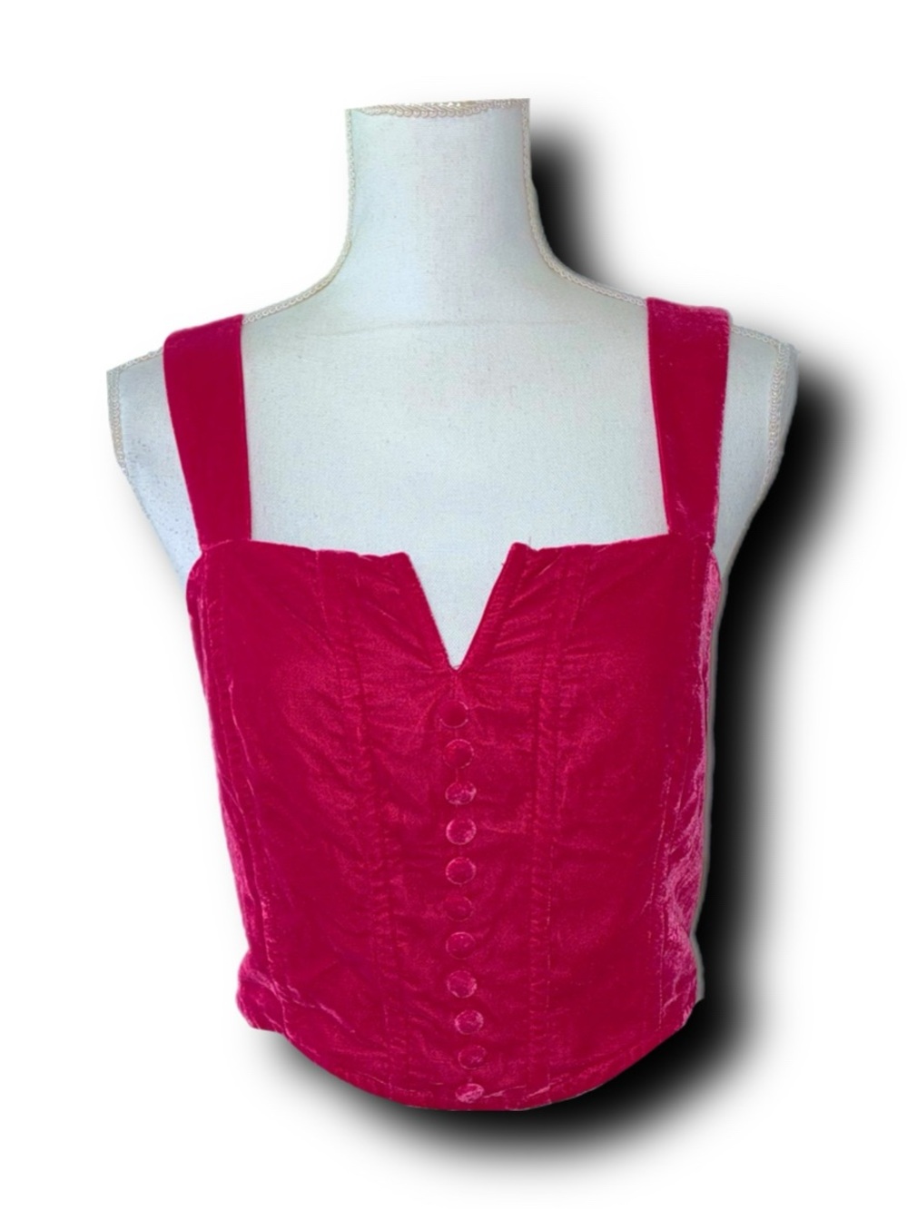 NWOT Rachel Zoe Fuchsia Pink Velvet Corset Crop Top Vintage Vibes